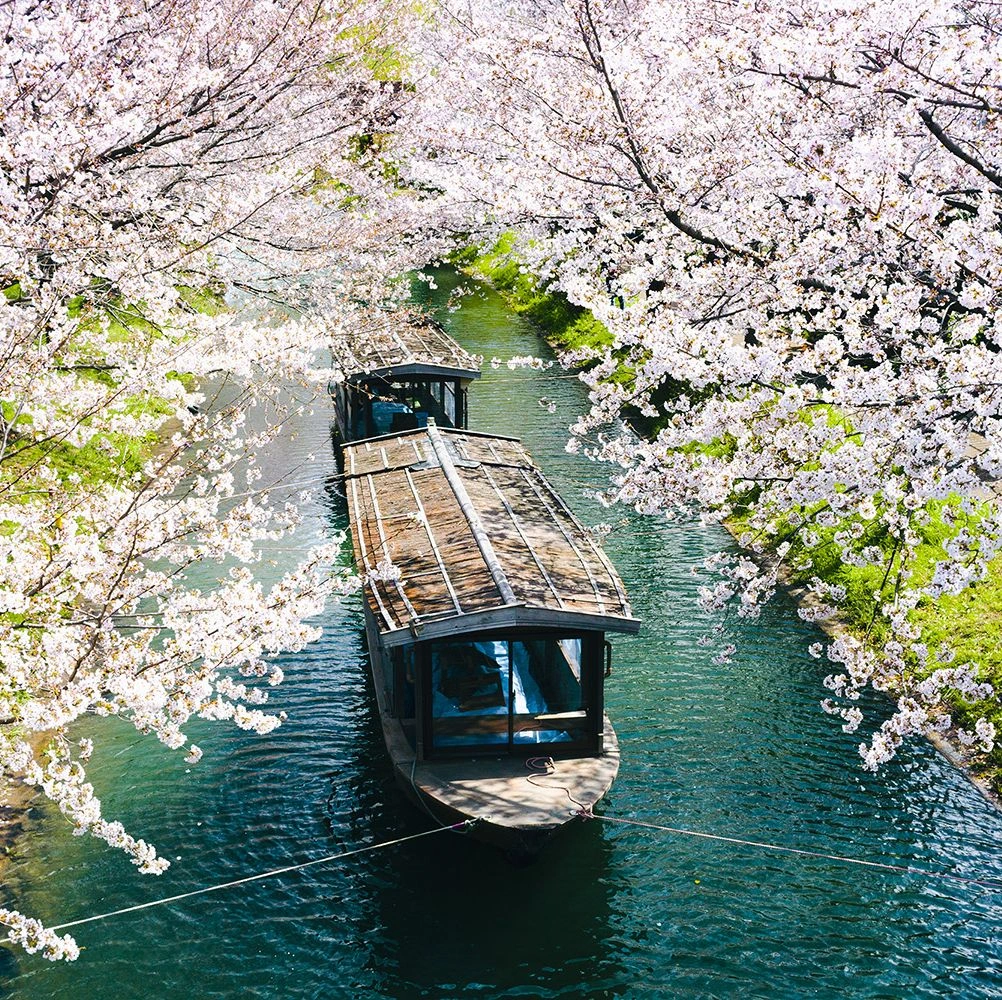 fukuoka tour guide